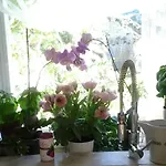 The Bergamot Apartament *