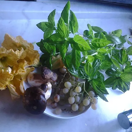 The Bergamot Apartament Tursi