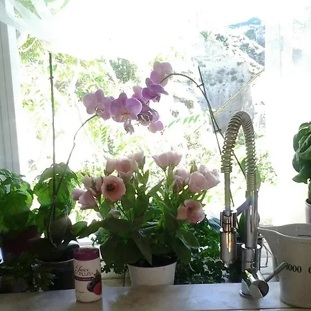 The Bergamot شقة *