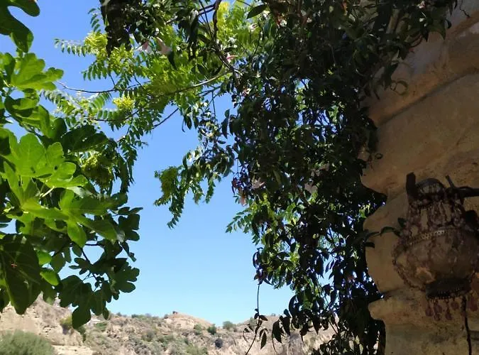 The Bergamot * Tursi