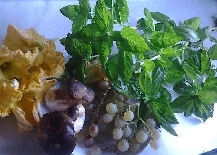 The Bergamot Appartamento Tursi