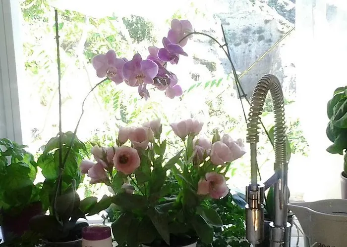 The Bergamot Appartamento *